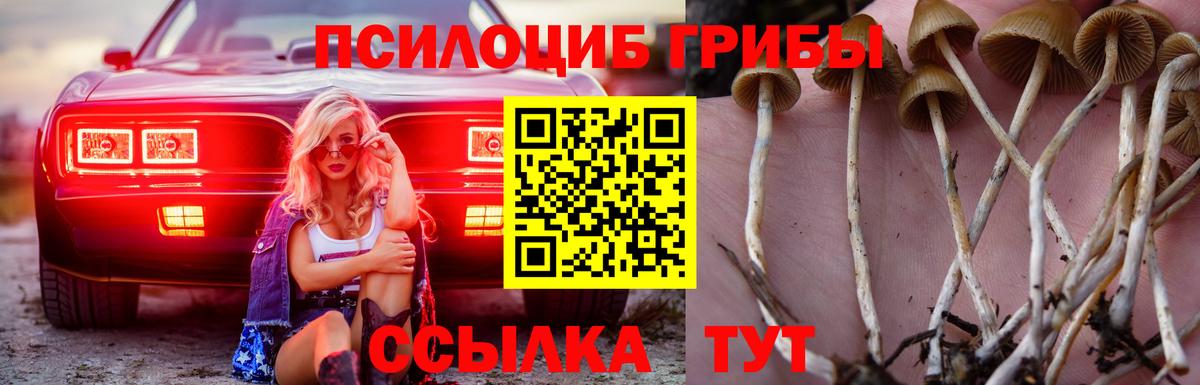 ГАШИШ  Марихуана  МЕФ   КОКАИН  Лосино-Петровский  Вход с VPN 