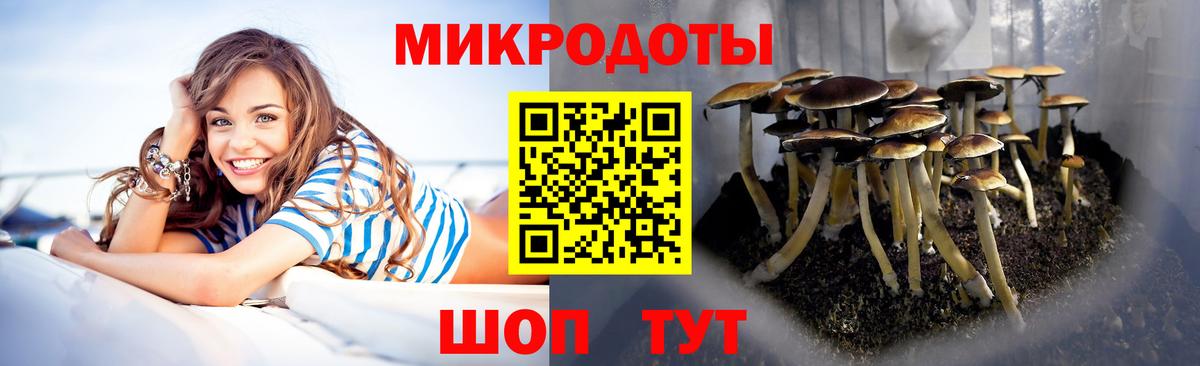 Галлюциногенные грибы мухоморы  Вход с VPN  Лосино-Петровский 